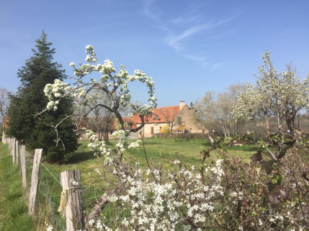 Chambres D'Hotes Domaine Les Grands Perons Hérisson Exteriér fotografie